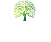 威尼斯wnsr888